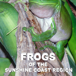 Frogs of the Sunhine Coast Region